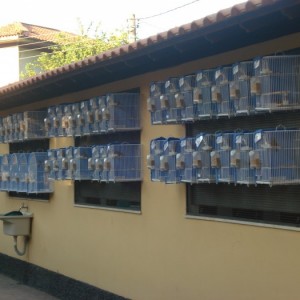 Criatório Rio Bonito
