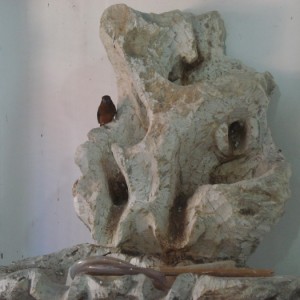Criatório Rio Bonito