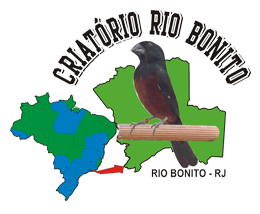 Logotipo